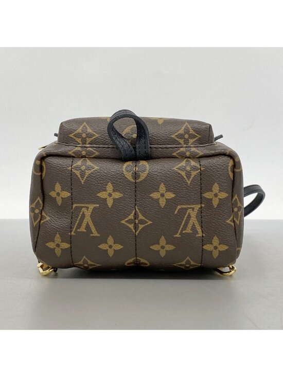 Louis Vuitton Backpack Monogram Palm Springs Mini Brown main image 8